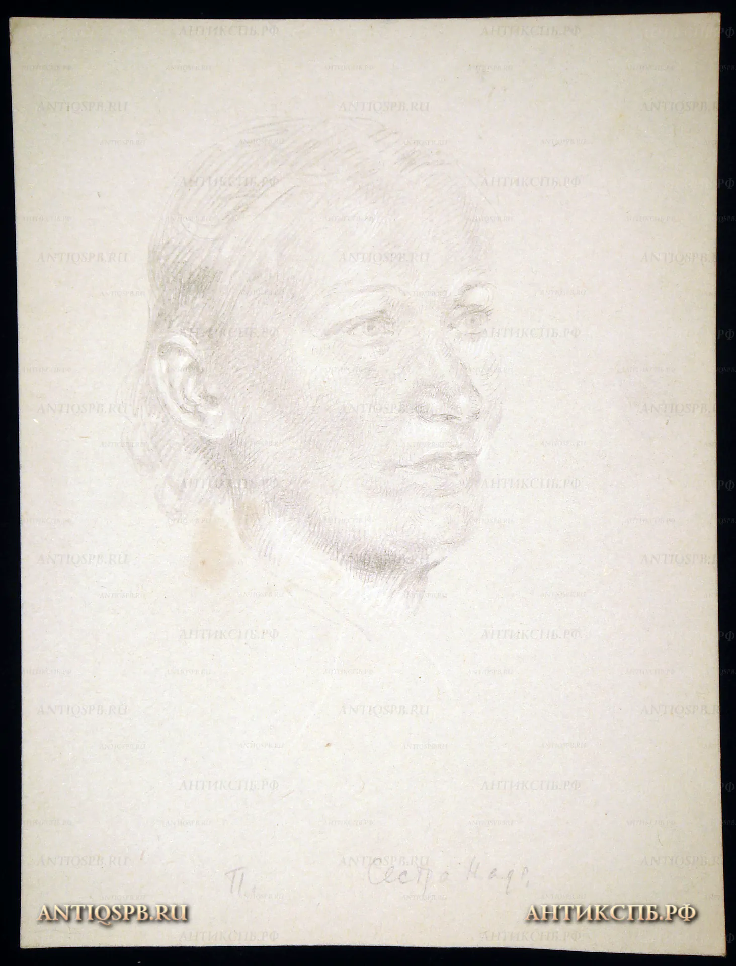 Рисунок "Сестра Надя". Бумага, карандаш. Автор: Поляков Александр Иванович (1921-1998). Вт. пол. ХХ века. СССР. №29П